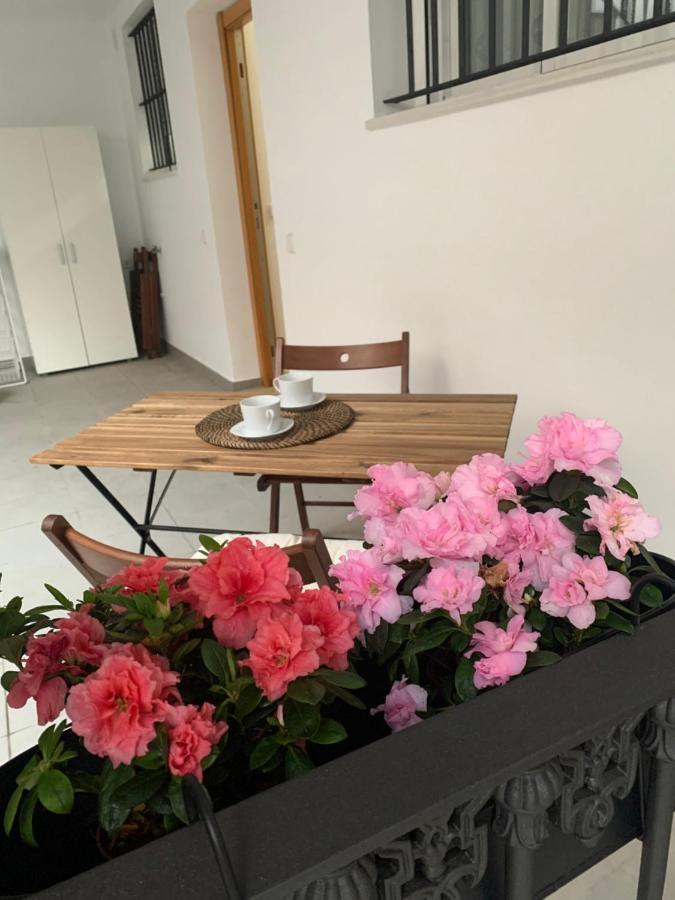 Ferienwohnung Casa Vigon Sanlúcar de Barrameda Exterior foto